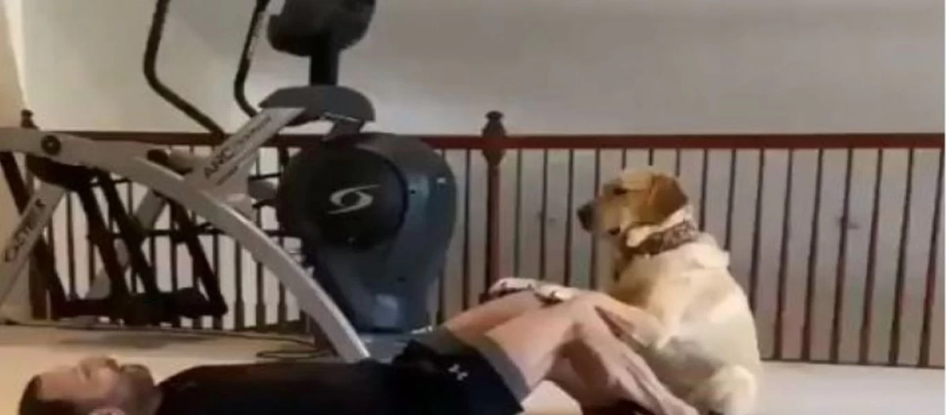 Ο κορωνοϊός θέλει... φαντασία: Αντί για γυμναστήριο ζητήστε τη βοήθεια του σκύλου σας (βίντεο)